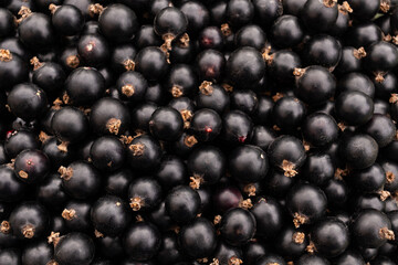 Natural background of ripe blackcurrants