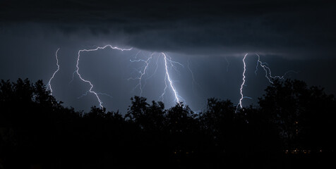 Fototapeta na wymiar Several lightning bolts strike simultaneously behind a row of trees during a thunderstorm at night