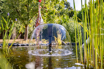 fontaine sur un bassin d'eau douce dans un jardin avec des plantes aquatiques