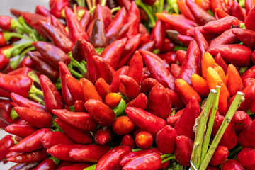 Red chili peppers or Jalapenos background full screen texture