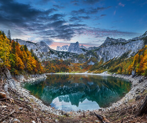 Tree stumps after deforestation near Hinterer Gosausee lake, Upper Austria. Autumn Alps mountain lake with clear transparent water and reflections. Dachstein summit and glacier in far.