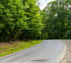 Fototapeta na wymiar A winding road through the woods in Brokenstraw Township, Pennsylvania, USA on a sunny summer day