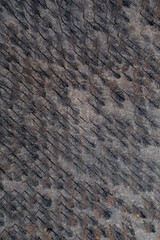 Aerial view of burnt forest after the fire. Burned fir and pine trees. Drone photo.