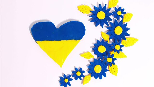 Plasticine heart with blue-yellow colors of Ukrainian flag decreases and increases on background of beautiful blue flowers with yellow petals on a white background. Stop motion animation. Claymotion