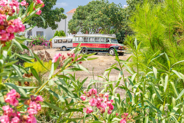 Old buses in the square. Red and white bus. Frame with colorful flowers. Paphos, Cyprus.