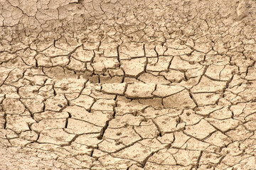 Dry ground with deep cracks.