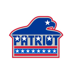 American Bald Eagle USA Flag Retro