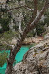 France Mediterranean Calanque Fjords Summer Beach Cliff 