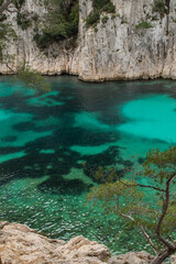 France Mediterranean Calanque Fjords Summer Beach Cliff 