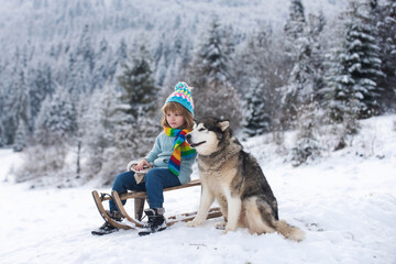 Boy sledding, enjoying sleigh ride with dog husky. Child sitting on the sleigh. Children play with...