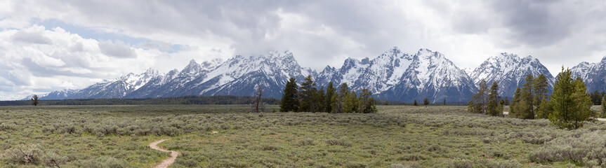 Fototapeta na wymiar Trees, Land and Mountains in American Landscape. Cloudy Spring Season. Grand Teton National Park. Wyoming, United States. Nature Background Panorama