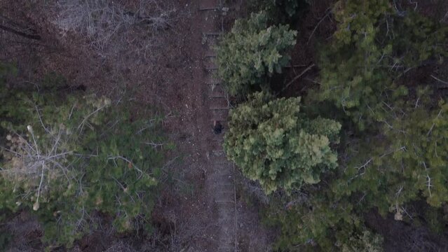 Aerial view of a hiking trail with people in the woods of Colli Asolani, Asolo, Italy