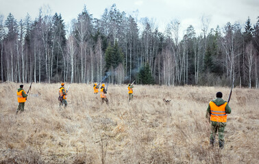 A group of hunters hunt pheasants. Hunters in camouflage uniforms and signal vests with weapons and...
