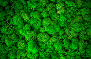 Green painted moss yagel for interior decoration