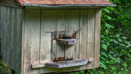 Bees at beehive entrance. Close-up of flying bees. Wooden beehive and bees. Working bees collecting yellow pollen.