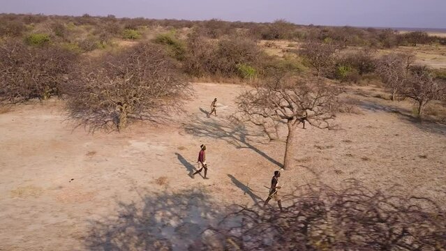 Aerial. Group of Hadza hunter-gatherer tribesmen out hunting with bow and arrows in a drought stricken landscape due to climate change.Tanzania
