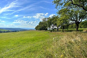 view from the meadow to the alley