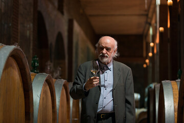 Wine expert tasting quality of white wine in a wine cellar, toasting by raising his glass
