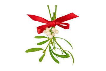 Mistletoe bunch with white berries and green leaves tied with red satin bow . Christmas decoration...
