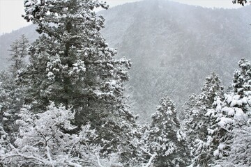 比叡山（延暦寺）は、都富士という有名な呼び名や、叡山、北嶺、天台山とも呼ばれ、滋賀県大津市西部と京都府京都市北東部にまたがる山。大津市と京都市左京区の両府県境に位置する大比叡（海抜848.3m）と左京区に位置する四明岳（しめいがたけ)(海抜838m）の二峰から成る双耳峰の総称である。雪景