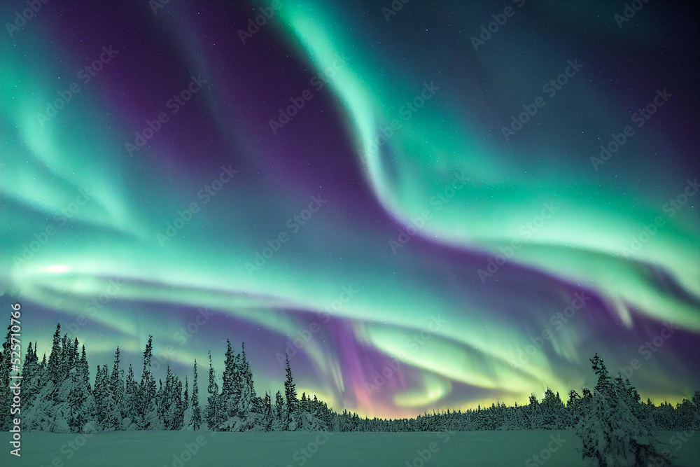 Wall mural northern lights over the forest. aurora borealis with starry in the night sky. fantastic winter epic