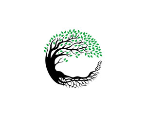 Circle Tree and Root Logo Vector Design