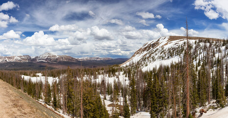 Mountain Pass in Uinta-Wasatch-Cache National Forest, Utah, United States of America. Trees and Snow on American Landscape. Nature Background Panorama