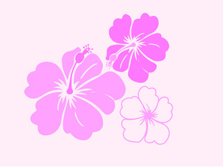 pink flower background