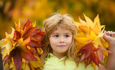 Naklejka na ściany i meble Autumn child with autumn leaves on fall nature background. Portrait of kid with fall leaves outdoor in autumn park.