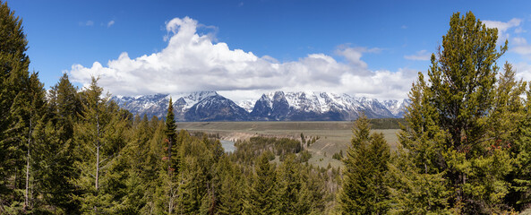 Trees, Land and Mountains in American Landscape. Spring Season. Grand Teton National Park. Wyoming, United States. Nature Background Panorama