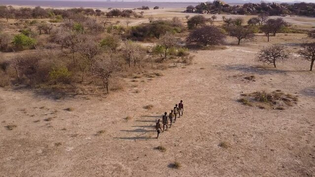 Aerial. Group of Hadza hunter-gatherer tribesmen out hunting with bow and arrows in a drought stricken landscape due to climate change.Tanzania