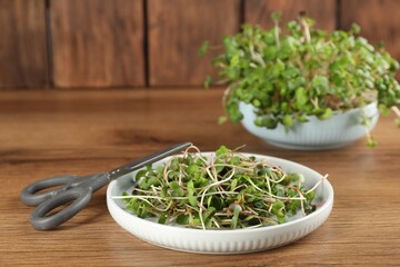 Plate with fresh radish microgreens and scissors on wooden table