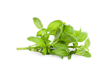 Aromatic fresh basil leaves on white background