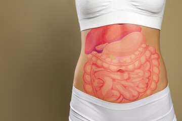Closeup view of woman with illustration of abdominal organs on her belly against beige background....