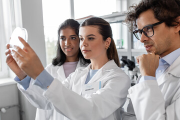 Fototapeta premium science research, gene technology and people concept - international group of scientists with petri dish working in laboratory