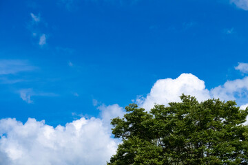 Obraz premium 夏の快晴の空 滋賀県守山市もりやま芦刈園