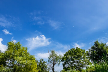 夏の快晴の空　滋賀県守山市もりやま芦刈園