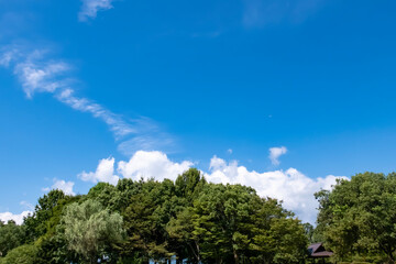 夏の快晴の空　滋賀県守山市もりやま芦刈園