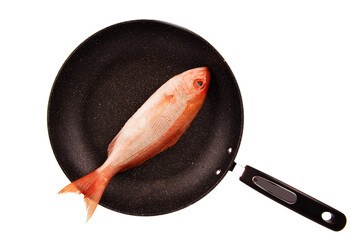 Red snapper, raw fish isolated and disposed in a fry pan. Isolated on a white background. Cut out.
