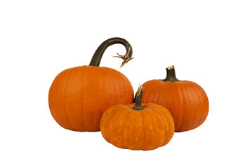 A group of different size pumpkins, isolated on white background. Cut out.