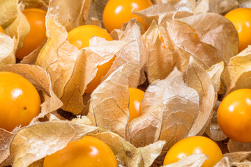Top view and close up of physalis.