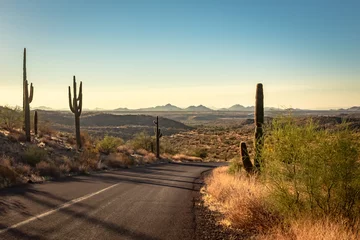Foto op Aluminium Road and saguaro cactus in the Phoenix Arizona Sonoran Desert during sunset.  © Jacki