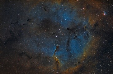 Nebulosa Proboscide di Elefante, IC 1396 è un ammasso aperto molto sparso associato a una vasta nebulosa diffusa, visibile nella costellazione boreale di Cefeo