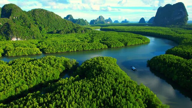 Drone flying over tropical forest, beautiful mangroves and winding river in sunset time. (Samed Nang Chee), Phang Nga, Thailand. green nature background. tropical seas in southeast asia. 4k drone
