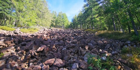 Vallata di Rocce frana rocciosa su percorso panoramico in montagna in mezzo alla foresta