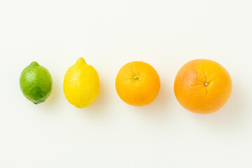 柑橘系フルーツ