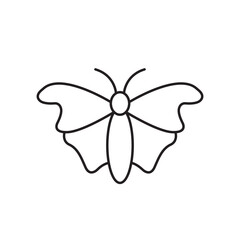 butterfly icon