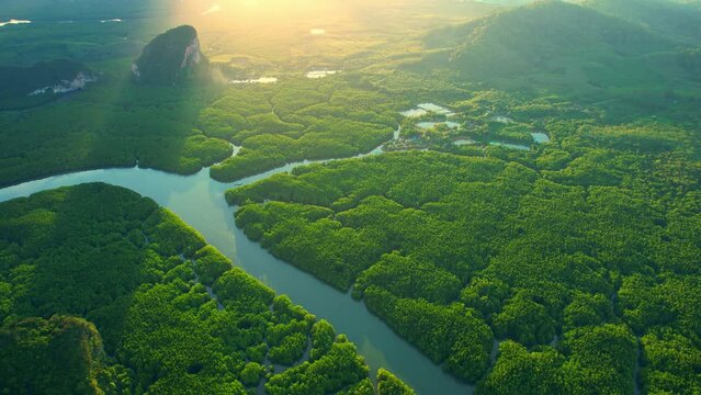 Drone flying over tropical forest, beautiful mangroves and winding river in sunset time. (Samed Nang Chee), Phang Nga, Thailand. green nature background. tropical seas in southeast asia. 4k drone
