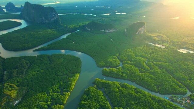 Aerial view from drone above Phang Nga Bay in golden hour time, The bay is popular with tourists. mangrove forest and rivers. Samed Nang Chee, Phang Nga, Thailand. 4K. Tropical forest concept

