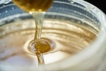 closeup natural honey spread with stick without people